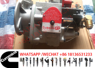 3075537 Diesel Engine Fuel Pump 3075537 k38 k50 3636943