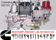 4951501 Cummins NTA855 Diesel Engine Pump 3021966 3973228 3262033 3045281